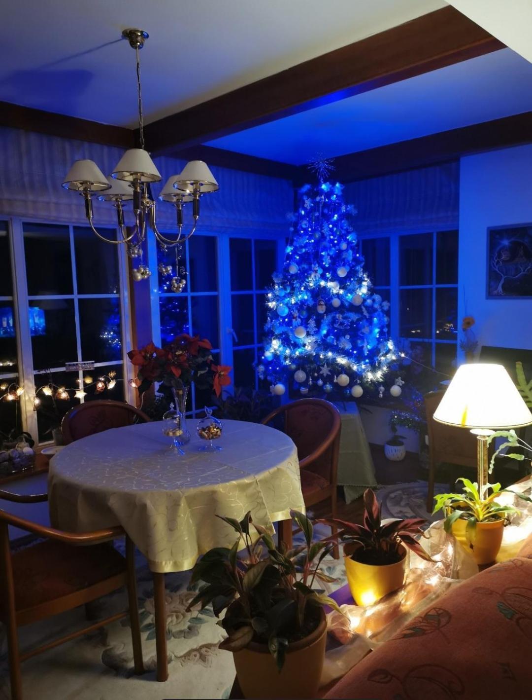 Homestay Svatá מראה חיצוני תמונה