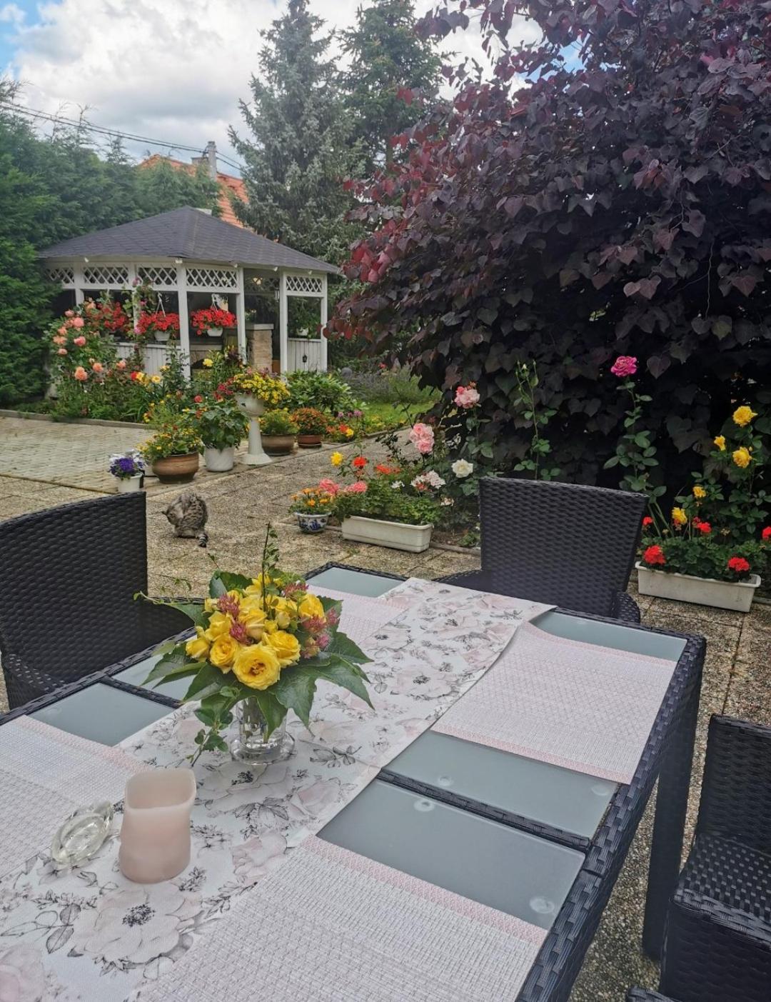 Homestay Svatá מראה חיצוני תמונה
